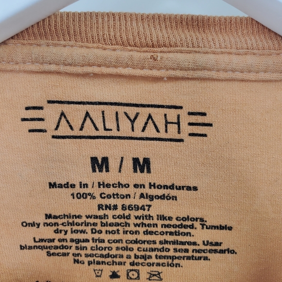 Aaliyah Big Graphic Band Tee Long Sleeves Cropped Tan Orange - Picture 6 of 6